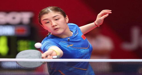 湖人管理层 湖人管理层