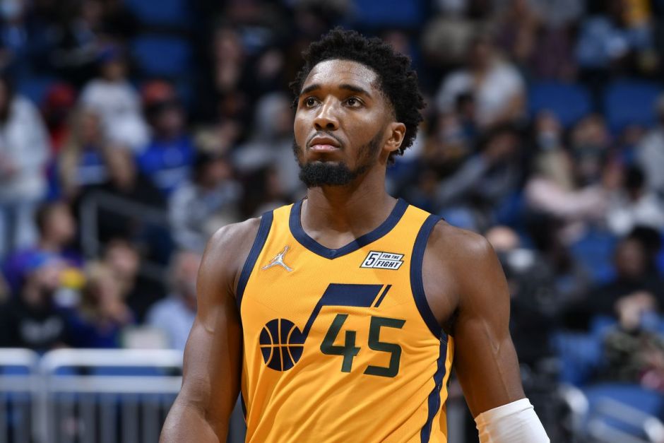 了新的启示 了新的启示