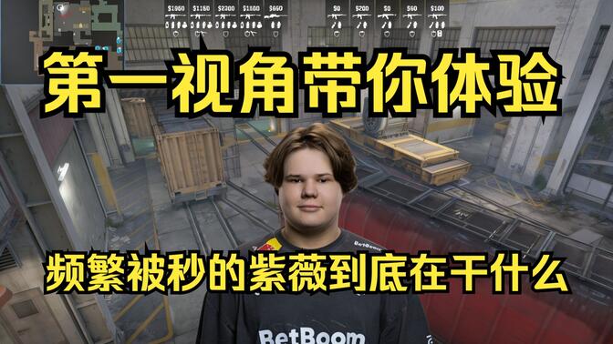 配与数据归